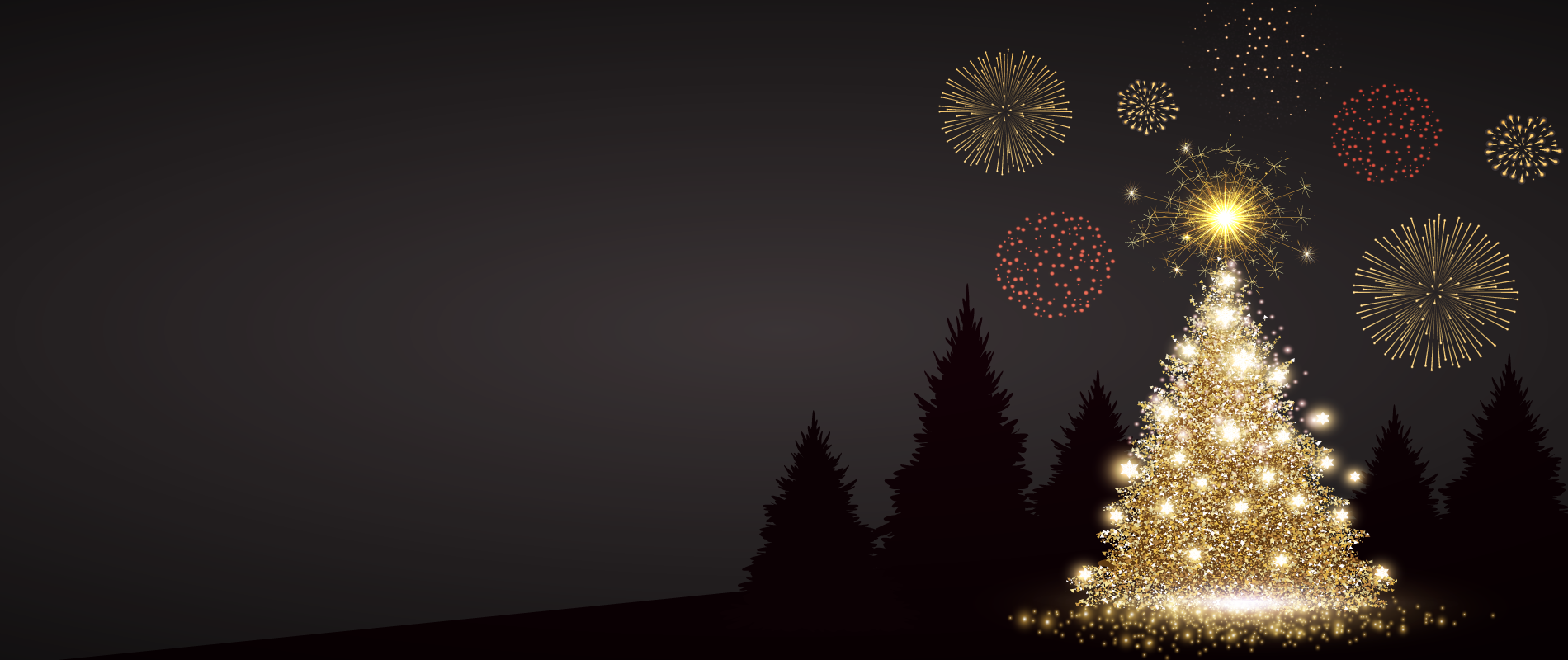 Brier Creek Tree Lighting and Fireworks Show