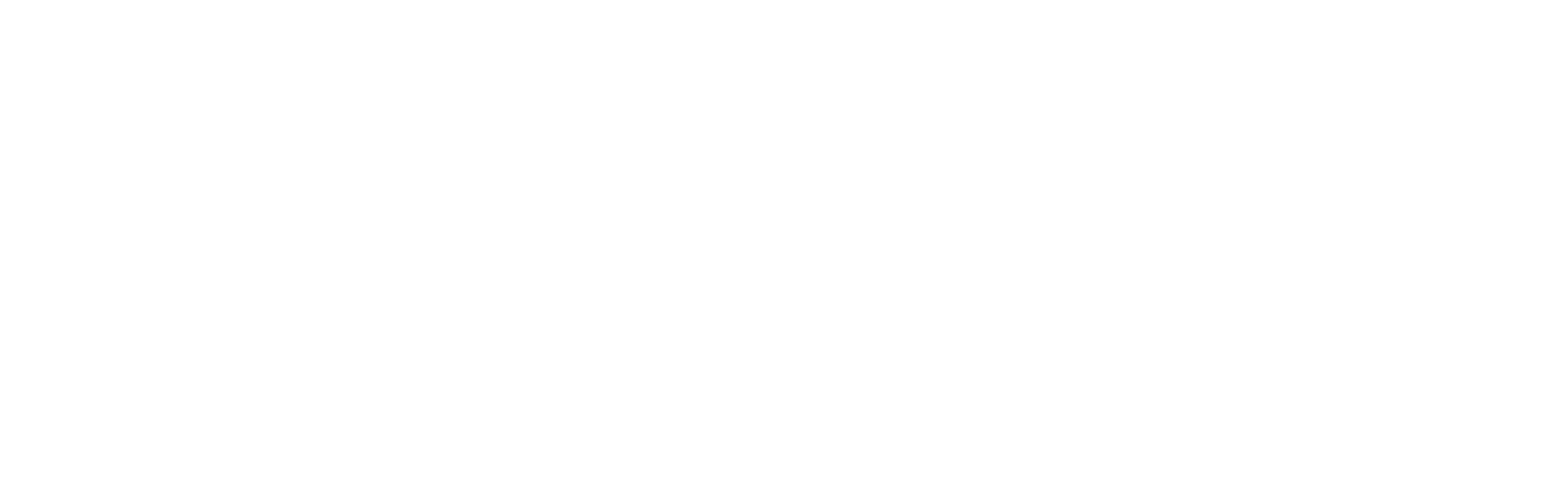 AKT_MASTER_LOGO_WHITE.png